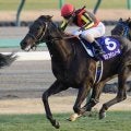 【ホープフルS】新馬＆未勝利組はGI昇格後0勝 重賞戦線での実績を重視したい一戦