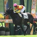 【ホープフルS予想】クラシックへの登竜門 次世代の主役に名乗りをあげるのは