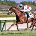 【阪神５Ｒ・２歳新馬】ショウナンハヤナミが２馬身差Ｖ　３週連続新馬勝ちの渡辺調教師「期待が持てます」