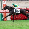 【中山５Ｒ・２歳新馬】良血ルールザウェイヴが力強く抜け出してデビュー勝ち　マーカンド騎手「まだメンタルが幼い」