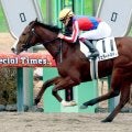 【中山６Ｒ・２歳新馬】ジェラートキティが軽快に逃げ切る　舟山瑠泉騎手「完勝だったかなと思います」