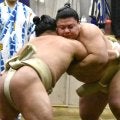 義ノ富士、年末年始関係なしの猛稽古で２１番　２０２５年は幕下→前頭筆頭に飛躍　「来年は本当に優勝したい」
