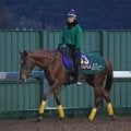 土曜中山競馬場の注目激走馬…中山１１Ｒホープフルステークス・Ｇ１