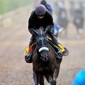 【阪神Ｃ】ナムラクレア２着惜敗　連覇＆牝馬初の５年連続重賞Ｖならず　ルメール騎手は当レース４勝目お預け
