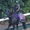 【阪神Ｃ】Ｇ１馬ルガルが復活　昨年のスプリンターズＳ以来６戦ぶり勝利