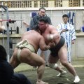 “史上最強の新弟子”旭富士はやはり強かった　幕内４人相手に16勝８敗　関取衆申し合いの中心