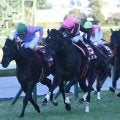 【阪神C結果】GI馬ルガルがナムラクレアとの接戦を制しレコードV！
