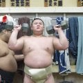 初土俵から10場所連続勝ち越し中の義ノ富士「来年は優勝したい」　目前の新三役昇進にも意欲