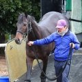 【有馬記念】ミュージアムマイルは距離克服がカギも状態は完調ムード　陣営「前走と同じかそれ以上」