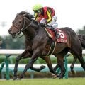 【有馬記念予想】日本の主流血統は期待値が低い一戦!? 父ミスプロ系に求められる好走条件とは