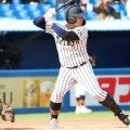 帝京・蔦原は天性のリストの強さが武器、完成された体格で長打量産の期待【高校野球界の逸材】
