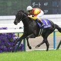 中山芝中距離はディープ系が優勢 ジャスティンパレスが有馬記念で「四度目の正直」だ