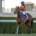 【有馬記念前日オッズ】レガレイラが3.2倍で1番人気