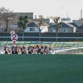 あなたは有馬記念をどこで観る？ 「ゴール前」「友人宅で」今年も特別な一日に