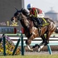【カウントダウンS】母はGI馬アドマイヤリード キャプテンシーが約2年ぶりの勝利なるか