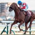 霜降り明星・粗品はダノンデサイルを信頼 有馬記念は3連単＆3連複で勝負だ