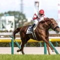 【有馬記念予想】2025年の総決算！ 中山2500mで最強馬の座につくのは
