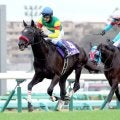 【中山大障害・レースメモ】キタサンブラック産駒が初勝利　重賞は富士Ｓ（ガイアフォース）以来の今年７勝目、通算２４勝目