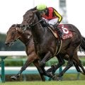 【有馬記念予想】掘れば正解が見えてくる？ 過去データから探るGI有馬記念