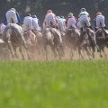 【有馬記念／馬場情報】土曜は週中の雨で“外有利”の傾向　スタミナやパワーのある重厚血統が躍動か