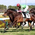 【阪神６Ｒ・２歳新馬】キシダンチョウが外から鋭く伸びて差し切る　高杉吏麒騎手「よく勝ち切ってくれたと思います」