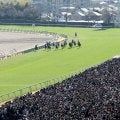 有馬記念デーの中山競馬場・芝コースはフラットに近い状態　荻野極騎手が昨日との違いを指摘