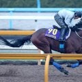 【有馬記念】途中からハナに立つも武豊騎手のメイショウタバルはまさかの２けた着順　同一年春秋グランプリ制覇ならず