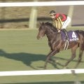 【有馬記念】2番人気ミュージアムマイルが勝利！ レガレイラは史上5頭目、牝馬初の連覇ならず 