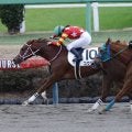小林美駒騎手がキャリアハイの37勝をマーク…女性ジョッキー結果