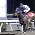 【高知・満天星特別】新馬戦以来の勝利、バリジグリーが準重賞で惜敗続きに終止符
