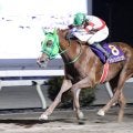 【高知・金の鞍賞】トサノシュジンコウが惜敗続きに終止符