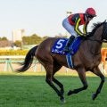 【有馬記念】牝馬レガレイラ連覇ならず…ルメール「エンジンがかかるのが遅かった」レース後ジョッキーコメント