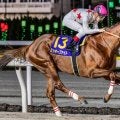 【東京大賞典】C.ルメール騎手が17年ぶり2勝目へ 主役のミッキーファイトで参戦