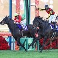 【有馬記念】「レースを支配した」C.デムーロの“神騎乗”ジョッキーカメラ　レガレイラ＆ルメールもお手上げ「バックミラーついてる？」