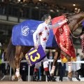 【大井・東京大賞典注目馬】有馬記念が終わってもビッグレースは続く 下半期のダート頂上決戦を制すのは