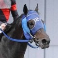 【東京大賞典】２０年ぶり地方馬がＶ　単勝７７３０円の大井・ディクテオンがＪＲＡ勢撃破　１着賞金１億円ゲット