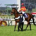 【先週のJRA抹消馬】大阪杯連覇のベラジオオペラ、芝重賞3勝のプラダリアなど
