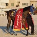 【東京大賞典】地方競馬１レース最高売り上げを更新　昨年から４・８％増の９９億５０１７万１６００円