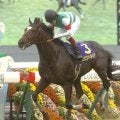 エピファネイアが“4年連続2位”から首位奪取 今年のJRA2歳種牡馬ランキングを振り返り