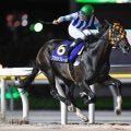 【大井・東京シンデレラマイル注目馬】南関東の最強牝馬決定戦にフルゲート16頭