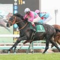 【コラム継承・クリスタルブラック】８歳までもうひと花咲かすと戦い続けた人馬　競馬記者としての第一歩となった２０年京成杯