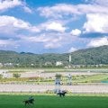 今年で日本にドライブスルーができて60年!? 競馬との意外な“つながり”を探ってみると