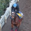 【注目馬動向】阪神Ｃ１１着のジューンブレアは高松宮記念に直行