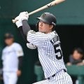 阪神を戦力外の楠本泰史　社会人断りスカウト転身「プロの世界で野球をやっていたいという強い思い」球団に感謝