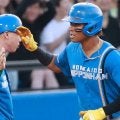 1軍ゼロ→“MVP”へ飛躍、有望株は巨人で覚醒　日本ハム、現役ドラフト移籍選手の明暗