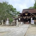 競馬ファンならぜひ行きたい 京都の「馬の神社」で初詣はいかが？