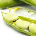 「そら豆」の栄養を上手に摂取する方法