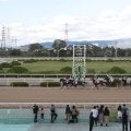 【園田・園田ジュニアC結果】ゴッドフェンサーが差し切って重賞初制覇