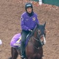 【注目馬動向】アドマイヤクワッズは報知杯弥生賞を予定　スティンガーグラスはダイヤモンドＳを視野