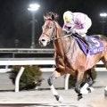 【高知県知事賞】オディロンが後続を寄せ付けず5馬身差V